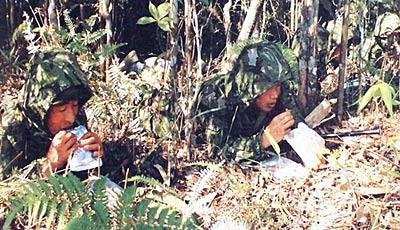 国产野战精品,铸就军魂，捍卫和平的利器之光  第3张